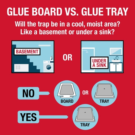 Catch Master Glue Traps for Mice and Insects - 4 Count