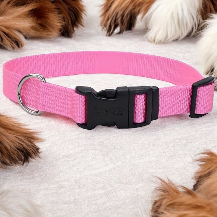 Westminster Pink Pet Expert Quad Lock Nylon Dog Collar - House