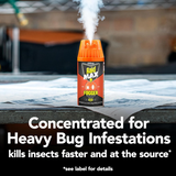 Raid Max Roach & Flea Killer – 3 Pack (3 × 60 g)
